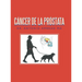 Cáncer De La Próstata