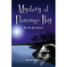 Mystery at Flamingo Bay