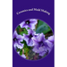 Ceramics and Mold Making: Helps and Hints