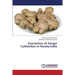 Economics of Ginger Cultivation in Kerala, India