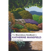 The Bloomsbury Handbook to Katherine Mansfield