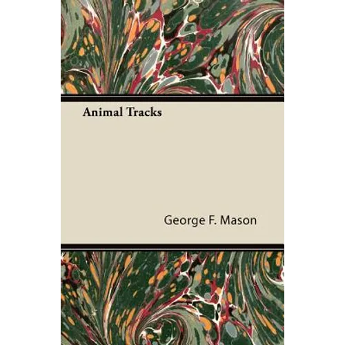 Animal Tracks