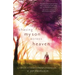 Chasing My Son Across Heaven: A Story of Life, Loss and the Strength of Enduring Love