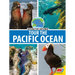 Tour the Pacific Ocean