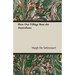 Selincourt, Hugh de