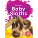 Baby Sloths