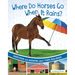 Where Do Horses Go When It Rains?: Questions and Answers about Farm Buildings