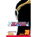 Bleach, Vol. 39