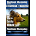 Shetland Sheepdog Training Dog Training with the No BRAINER Dog TRAINER We make it THAT Easy!: How to EASILY TRAIN Your Shetland Sheepdog