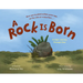 A Rock Is Born: An Epic Journey Through Time