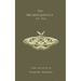 The Metamorphosis of You