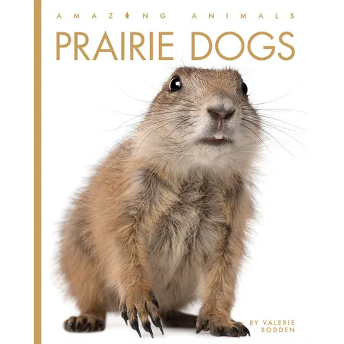 Prairie Dogs
