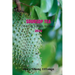 Soursop Tea: Unveiling Nature's Wellness 2024: "Embrace the tangy and refreshing goodness of soursop leaf tea - the perfect blend o