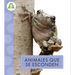 Animales Que Se Esconden