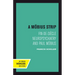 A Mobius Strip: Fin-De-Siecle Neuropsychiatry and Paul Mobius