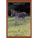 An Extravagance of Donkeys