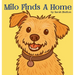 Milo Finds A Home