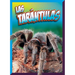 Las Tarántulas