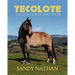 Tecolote: The Little Horse That Could