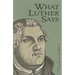 What Luther Says