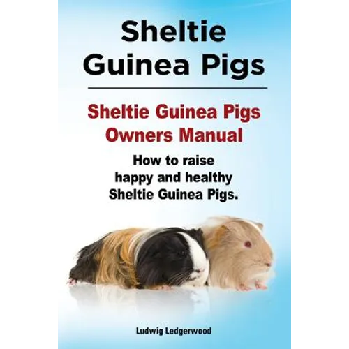 Sheltie Guinea Pigs. Sheltie Guinea Pigs Owners Manual. How to raise happy and healthy Sheltie Guinea Pigs.