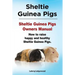 Sheltie Guinea Pigs. Sheltie Guinea Pigs Owners Manual. How to raise happy and healthy Sheltie Guinea Pigs.