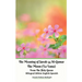 The Meaning of Surah 54 Al-Qamar The Moon (La Luna) From The Holy Quran Bilingual Edition English Spanish