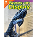 Bones on Display