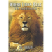 Where Lions Roar