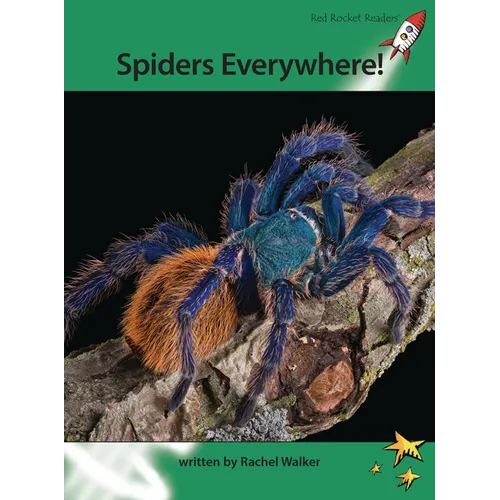 Spiders Everywhere!