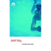 Pool Boy