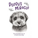 Poppy's Miracle