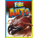 Fire Ants