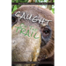 Caught on the Trail: Nature's Wildlife Selfies