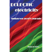 Eclectic Electricty