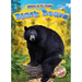 Black Bears