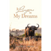 It Lingers in My Dreams