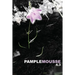 Pamplemousse 4.3