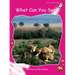 What Can You See?