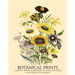 Perpetual Birthday Calendar: Botanical Prints 12 Month Date Book Daily Organizer for Birthdays, Important Dates, Special Days, Anniversaries