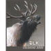 Elk: Elk Coloring Book for Kids