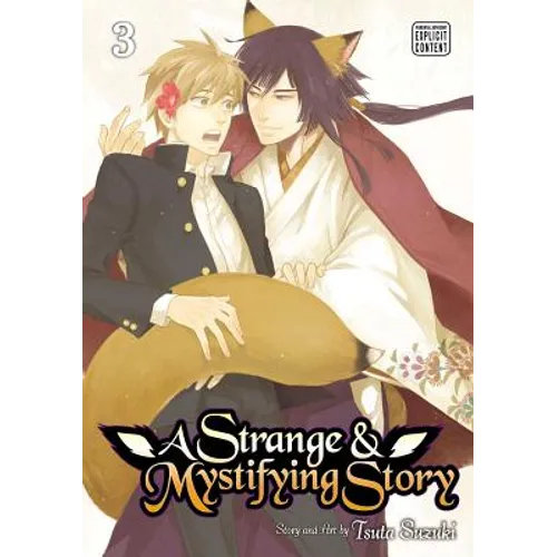 A Strange & Mystifying Story, Vol. 3