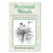 Perennial Weeds