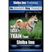 Shiba Inu Training Dog Training with the No BRAINER Dog TRAINER We Make it That Easy!: How to EASILY TRAIN Your Shiba Inu