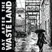 Day After The Waste Land