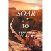Soar to Win