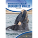 Endangered Whales