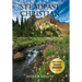 Steadfast Christian: A Higher Call to Faith, Family, and Hope