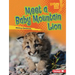 Meet a Baby Mountain Lion