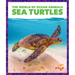 Sea Turtles